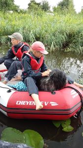 schapendoes Gijsje-Bas van de Roeskebeer mee varen
